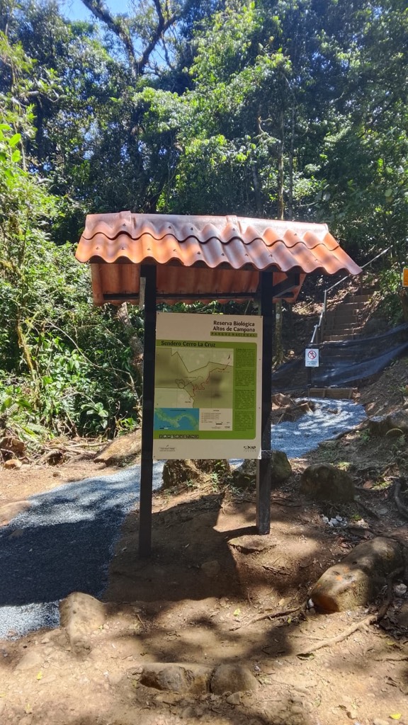 MiAmbiente