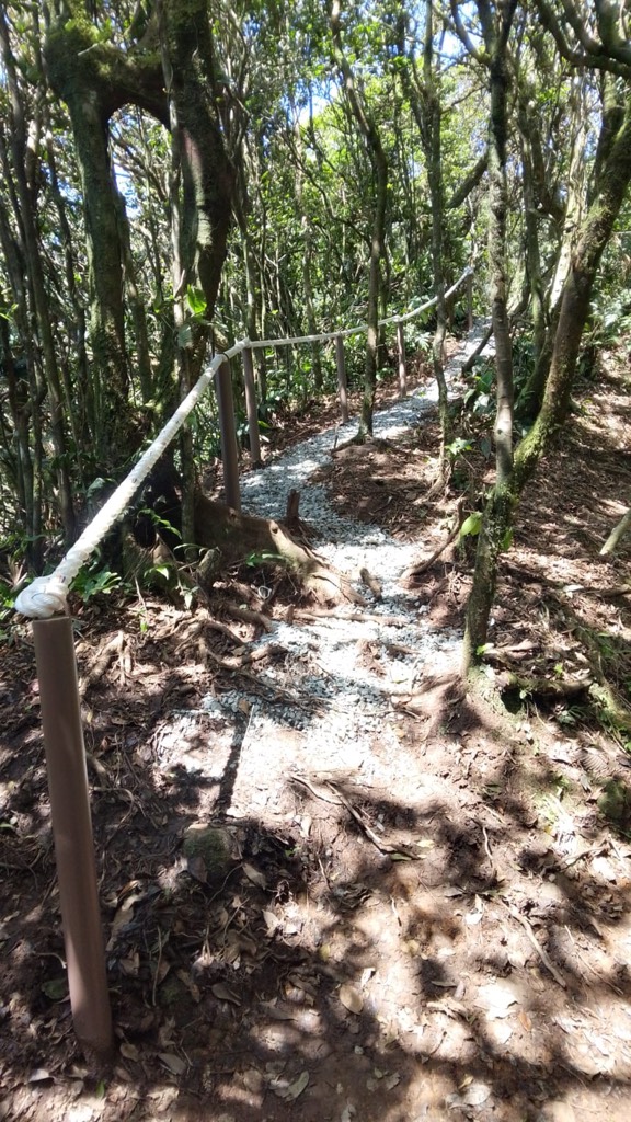 MiAmbiente