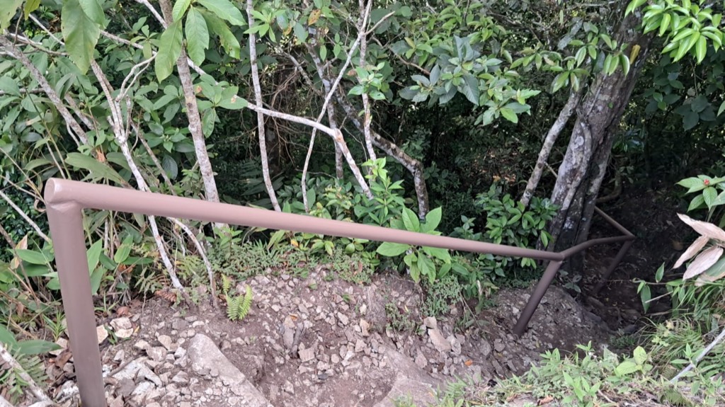 MiAmbiente