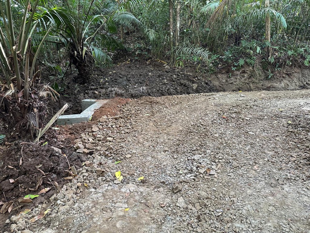 MiAmbiente