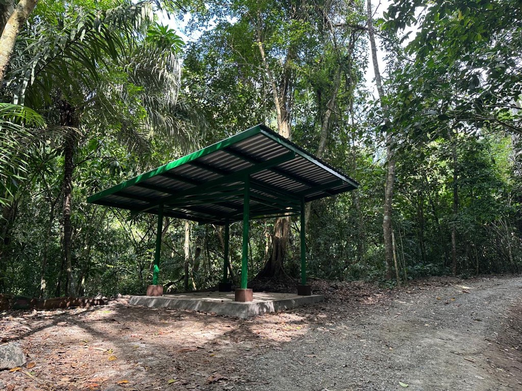 MiAmbiente